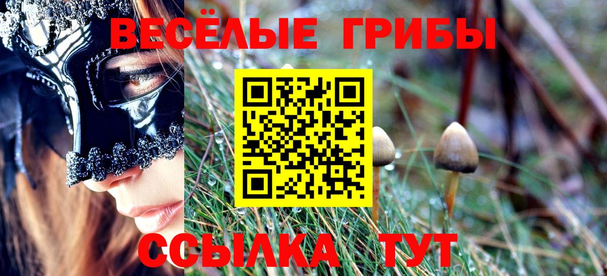 Псилоцибиновые грибы мицелий Коммунар